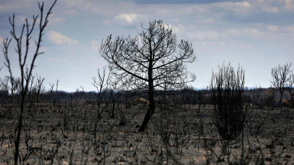 Spain heatwave was 'most intense on record'