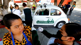 En el mundo de las vacunas hay un antes y un despu&eacute;s del covid