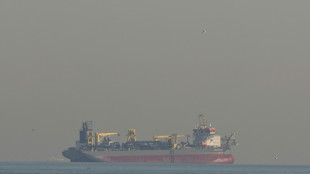 Infrastructures du Golfe attaqu&eacute;es, d&eacute;troit d'Ormuz bloqu&eacute;: choc mondial sur l'&eacute;nergie