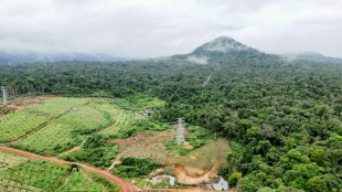 Au Cambodge, cam&eacute;ras, micros et IA d&eacute;voilent la faune cach&eacute;e des montagnes