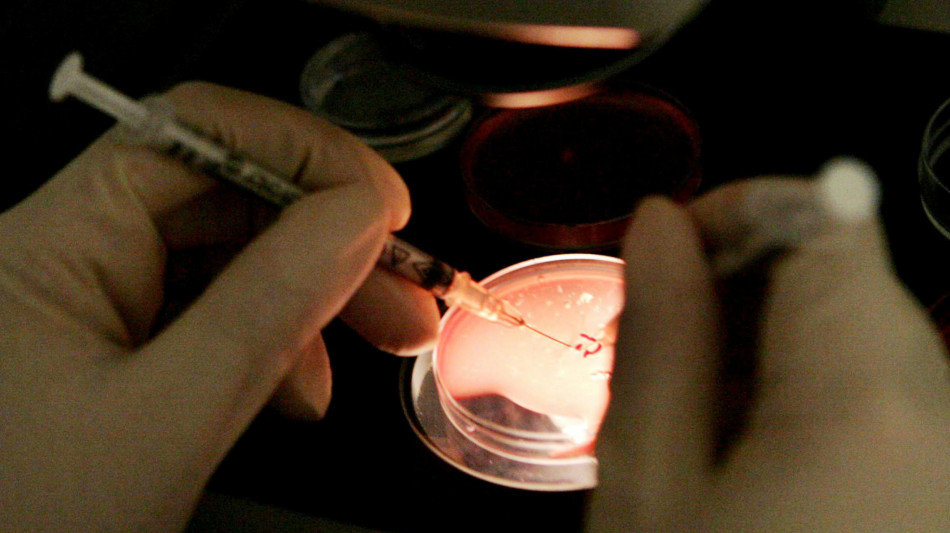  Media, 200 bebè nati in Europa da un donatore di sperma a rischio cancro 