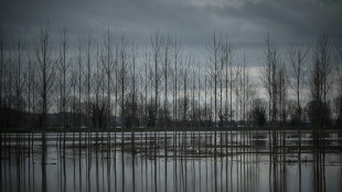 Pluie-inondations : six d&eacute;partements en vigilance orange