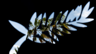 Le 77e Festival de Cannes s'ouvre avec #MeToo en t&ecirc;te