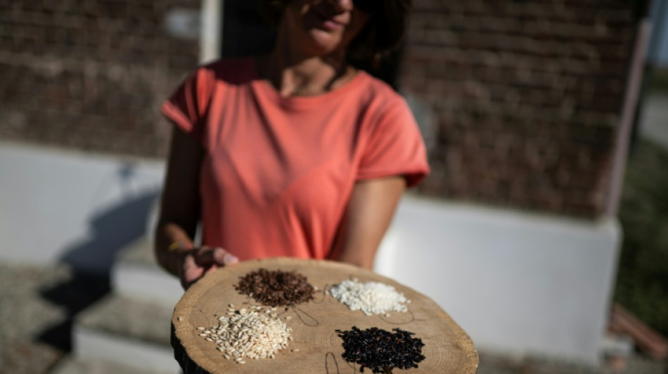  Una cultivadora de arroz italiana apuesta por la biodiversidad para combatir el calor 
