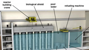 Pichetto, valuteremo interventi in bolletta per il nucleare