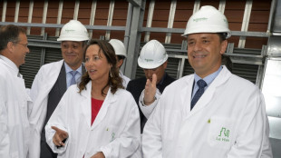 Macron schl&auml;gt Luc R&eacute;mont f&uuml;r EDF-Spitze vor