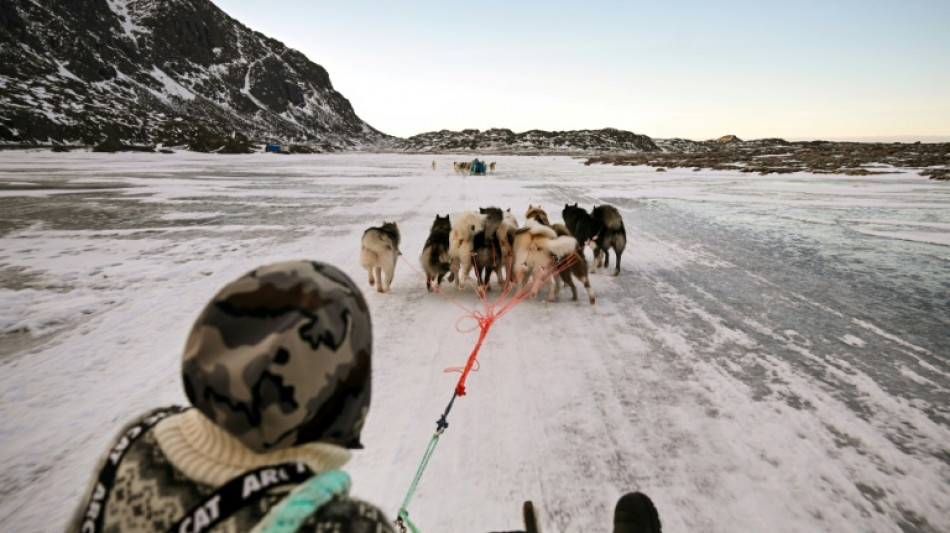 Greenland's west coast posts warmest January on record 
