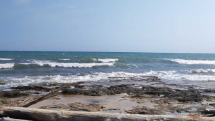 Demanio spinge investimenti,+144% in 3 anni a 3,9 miliardi