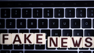 Desinforma&ccedil;&atilde;o, um risco antes de elei&ccedil;&otilde;es importantes, segundo F&oacute;rum Econ&ocirc;mico Mundial