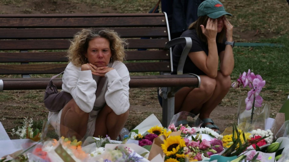 Australia PM says 'Islamic State ideology' drove Bondi Beach shooters