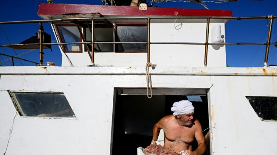  Sunken wrecks, hot seas threaten fishermen on Italian isle 