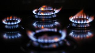 Il prezzo del gas in avvio &egrave; su quota 35 euro