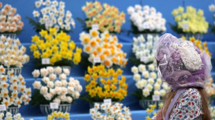 Patate douce, pois chiches et IA au célèbre Chelsea Flower Show de Londres