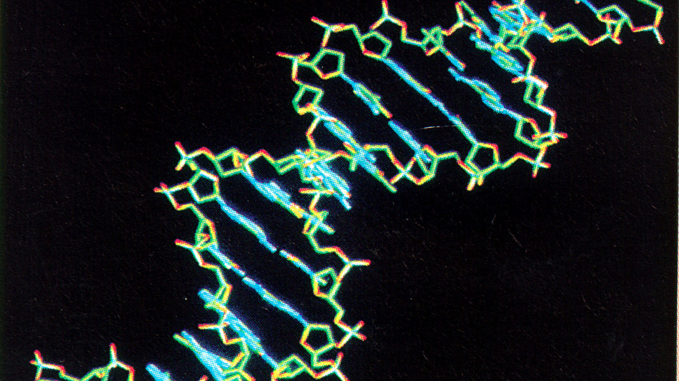  Malattie rare, screening neonatali e genomica per garantire diagnosi precoce 