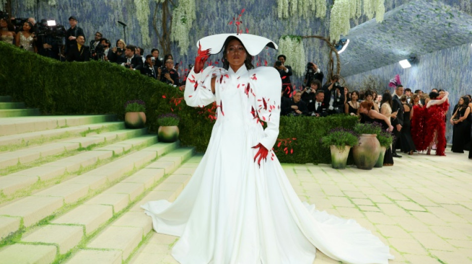  Au Met Gala, la mode s'&eacute;rige en art, sans faire de folie 