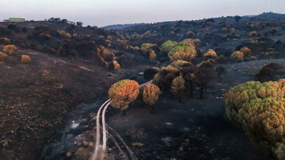  Inc&ecirc;ndios em Fran&ccedil;a e Espanha diminuem mas novos focos surgem na Europa 