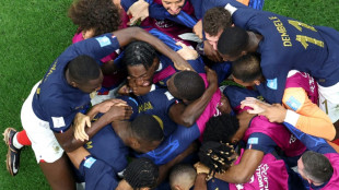 Mondial: les Bleus rego&ucirc;tent &agrave; une finale, mais en tirant la langue