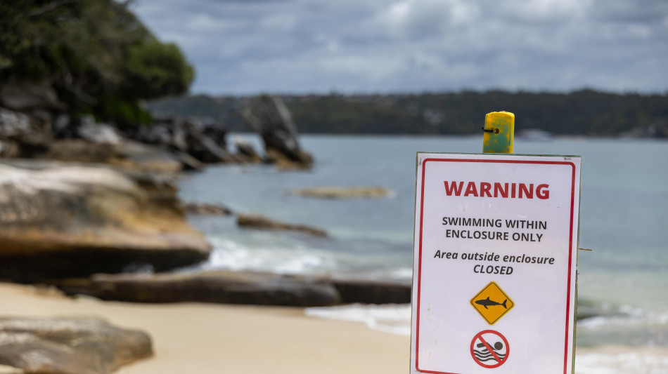  Uomo attaccato da uno squalo in Australia, &egrave; in condizioni critiche 