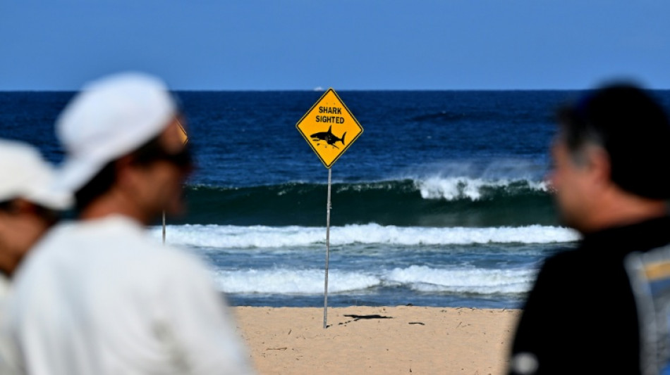 Un tiburón mata a un surfista en una playa de Australia