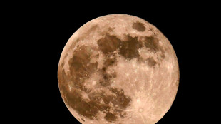 Empresa japonesa aborta misi&oacute;n de su sonda Resilience tras fracaso en alunizaje