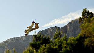Evac&uacute;an a residentes y turistas por un incendio en la costa croata