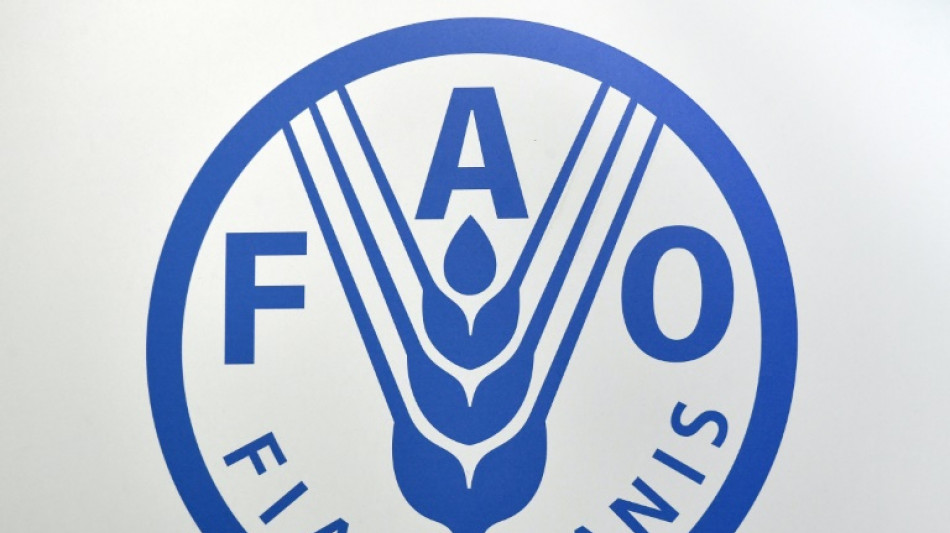 El comercio mundial de alimentos aumentar&aacute; un 2,5% en 2024, seg&uacute;n FAO