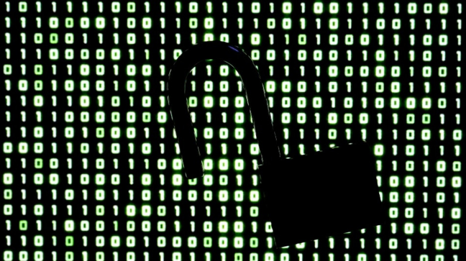  Falhas cr&iacute;ticas de seguran&ccedil;a detectadas por IA afetam sites de todo o mundo 