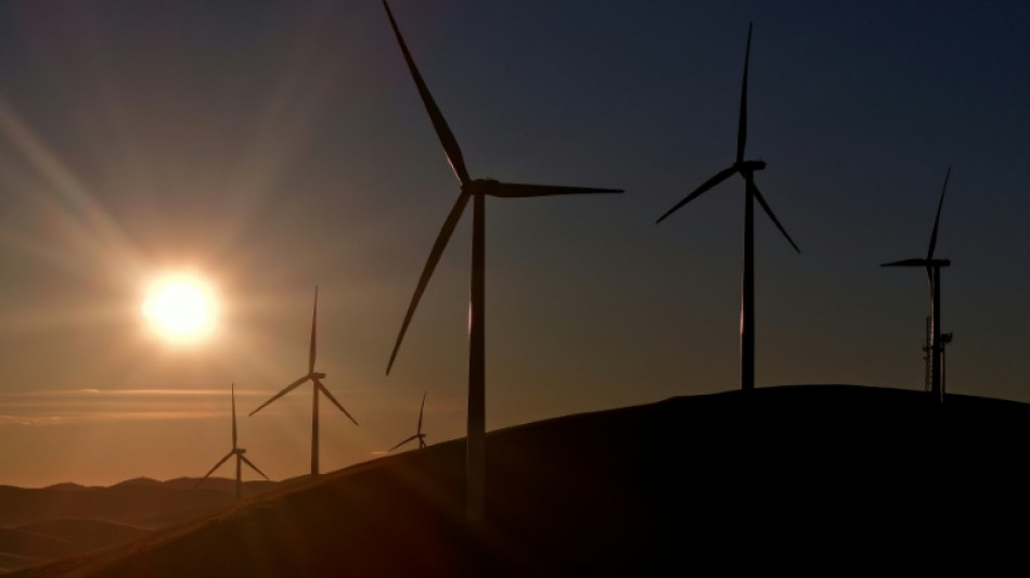  Solar, wind capacity growth slowed last year, analysis shows 