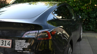 Las ventas de Tesla se redujeron a la mitad en Europa desde principios de a&ntilde;o