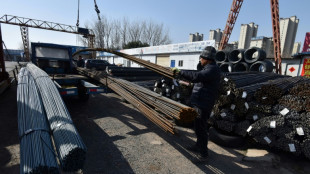 La organizaci&oacute;n china del acero anticipa un "impacto negativo" de los aranceles de EEUU