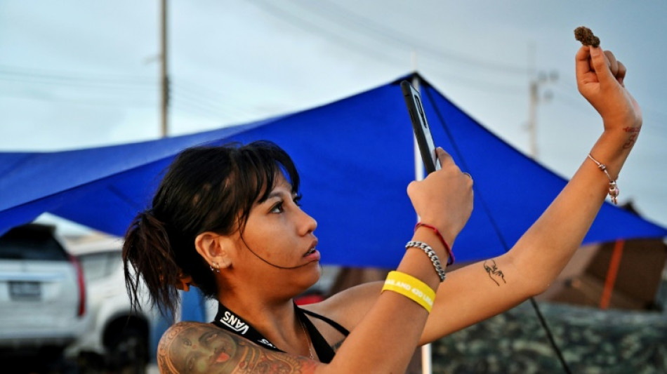 Los amantes del cannabis en Tailandia celebran la despenalizaci&oacute;n del cultivo y la venta