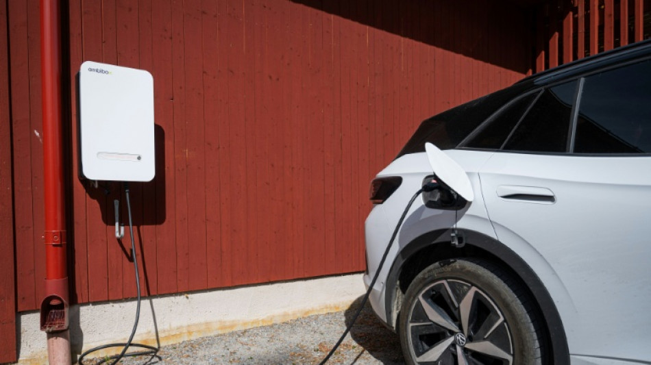  'Battery on wheels': Sweden powers homes with EVs 