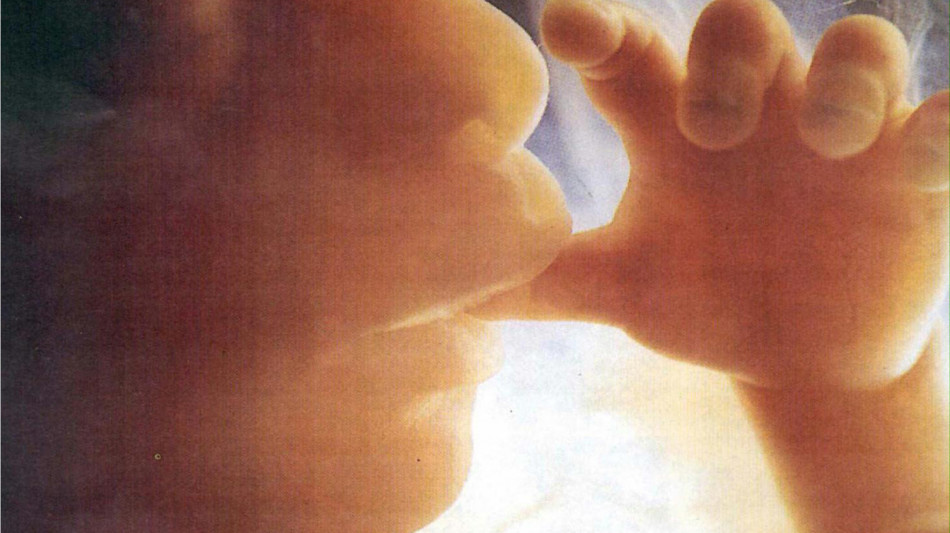  Sindrome Feto Alcolica, dall'Emilia-Romagna primo modello integrato prevenzione e supporto 