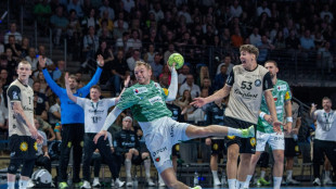 HBL: F&uuml;chse starten mit deutlichem Heimsieg in die neue Saison