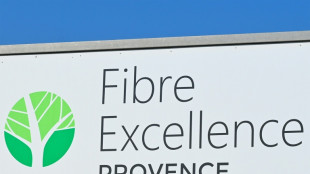 Fibre Excellence: un nouvel investisseur int&eacute;ress&eacute;, Delga demande un d&eacute;lai