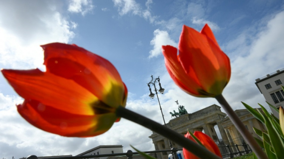  Volksbegehren "Berlin autofrei" und "Berlin werbefrei" gescheitert 