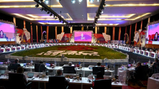 Pa&iacute;ses occidentales condenan guerra de Rusia contra Ucrania en reuni&oacute;n del G20 en Indonesia
