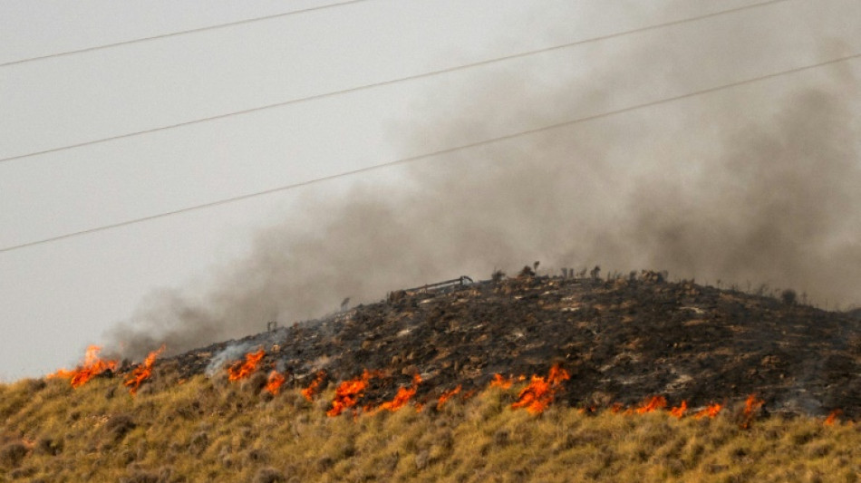  El incendio del sur de Espa&ntilde;a presenta evoluci&oacute;n "favorable" tras quemar 6.600 hect&aacute;reas 