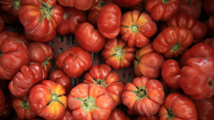 Evoluzione in retromarcia, il caso dei pomodori delle Galapagos