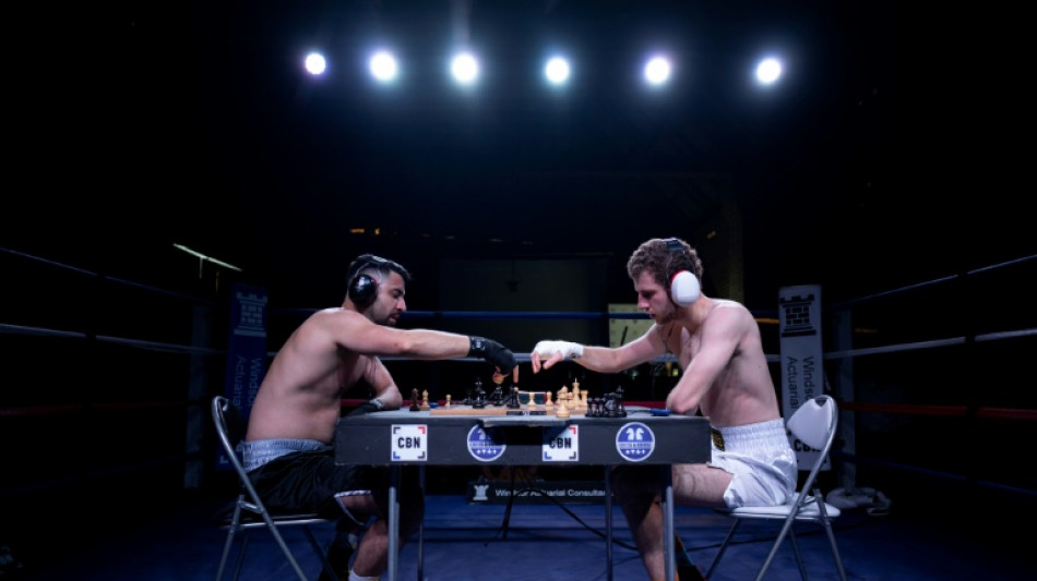  &iquest;Nocaut o jaque mate? el chessboxing eleva el equilibrio cuerpo-mente 