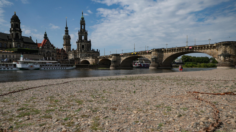  Caldo record in Germania, a giugno 9600 decessi in una settimana 
