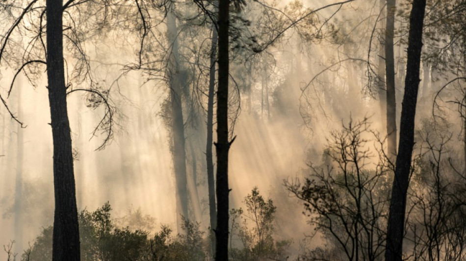  Turqu&iacute;a combate m&aacute;s de cien incendios activos 