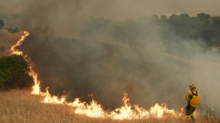 M&aacute;s de 175.000 evacuados por los incendios que arrasan Espa&ntilde;a y Francia