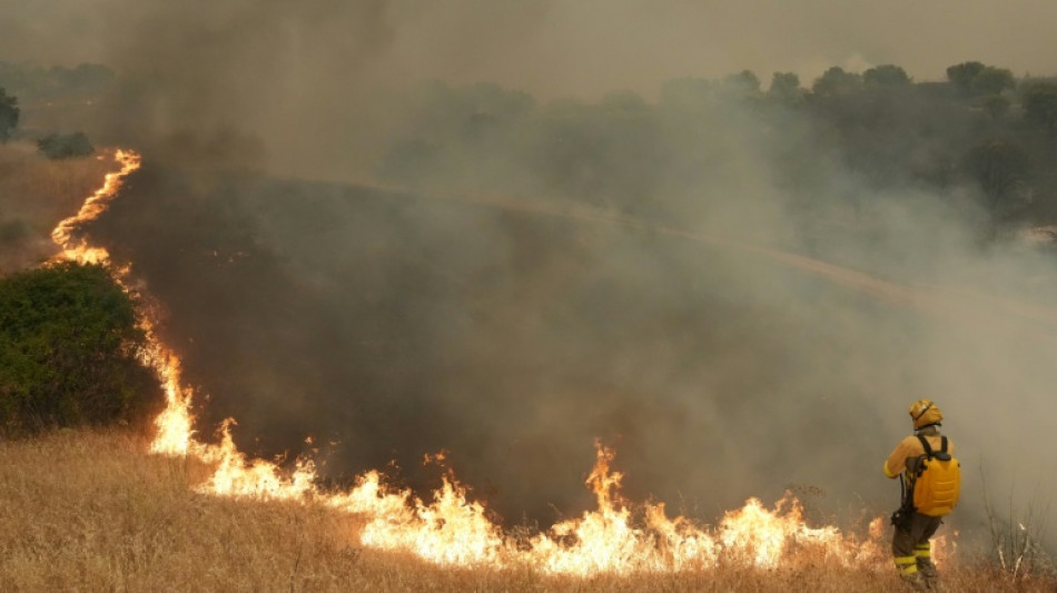  Quase 270.000 deslocados por inc&ecirc;ndios que assolam Espanha e Fran&ccedil;a 