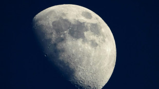 Un "condens&eacute;" du patrimoine de l'humanit&eacute; envoy&eacute; sur la Lune