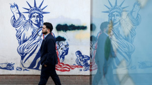 L'Iran lib&egrave;re Erfan Soltani, devenu le visage des manifestations