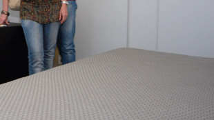 La cimice dei letti &egrave; stato il primo parassita urbano