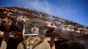 Au Maroc, les abeilles d&eacute;sertent le plus ancien rucher au monde