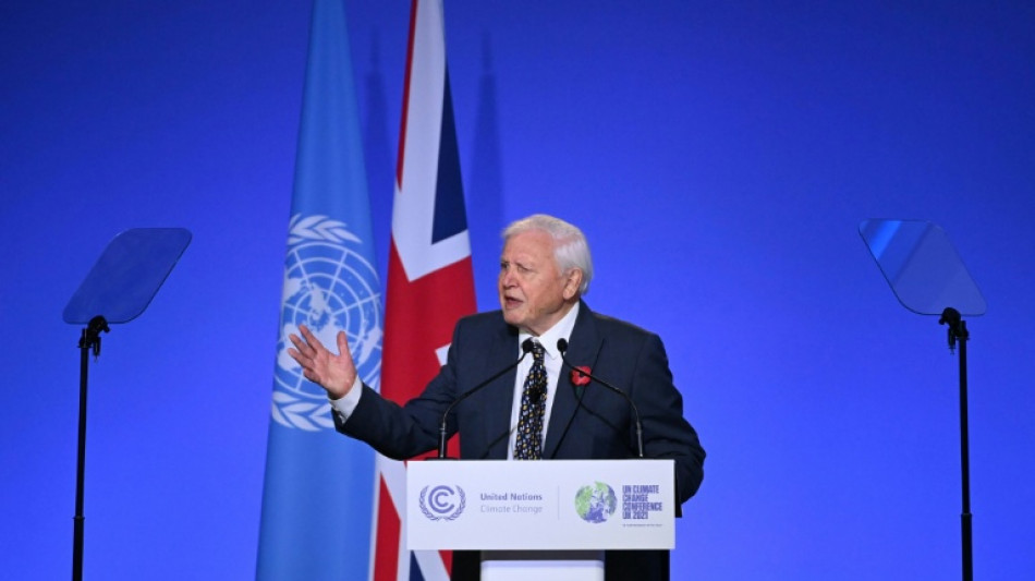 Naturfilmer Attenborough ruft mit neuem Film "Ocean" zum Schutz der Meere auf