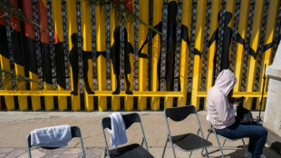 Ser migrante irregular "no justifica una detenci&oacute;n", alerta la vicepresidenta de la CIDH